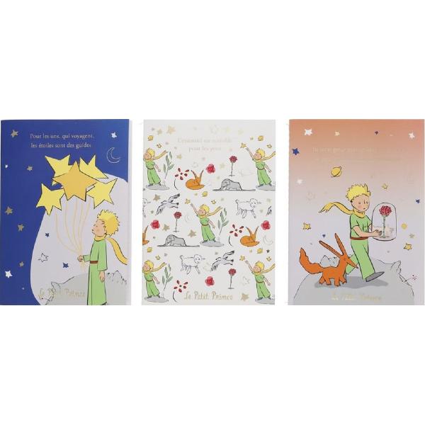 Set 3 carnete Micul Print
