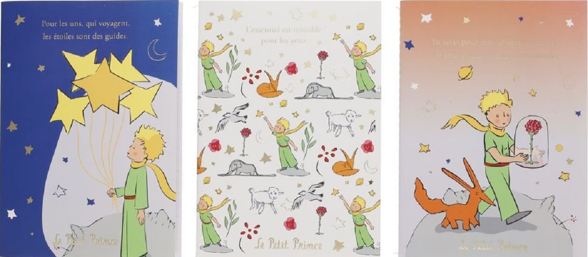 Set 3 carnete Micul Print