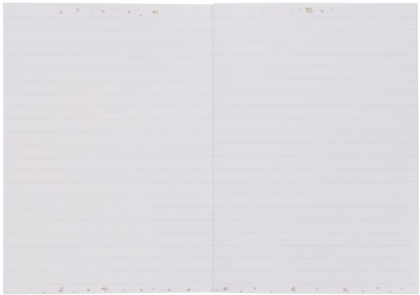 Set 3 carnete Micul Print