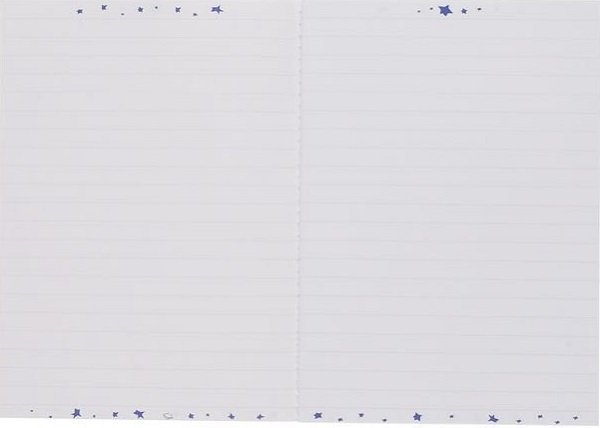 Set 3 carnete Micul Print