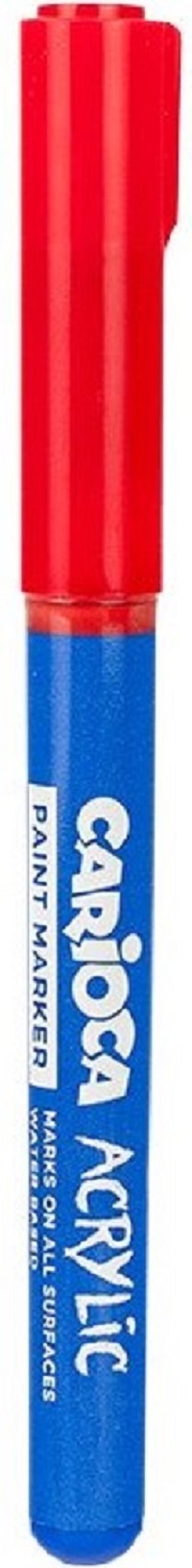 Set 10 markere acrilice cu varf pensula