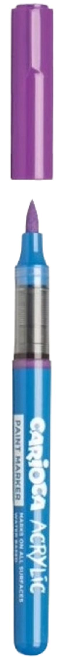 Set 10 markere acrilice cu varf pensula