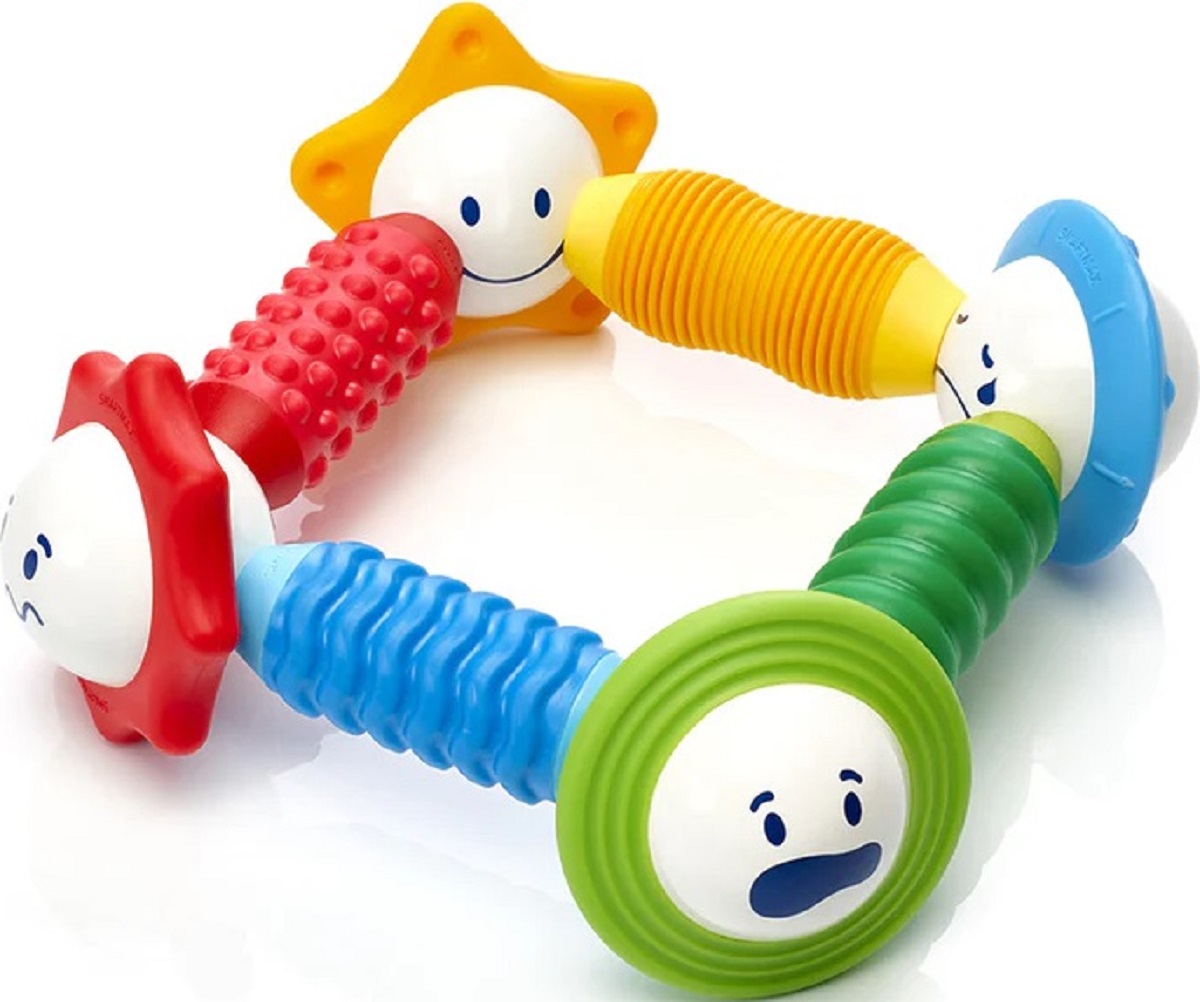 Joc magnetic: My First Sound and Senses