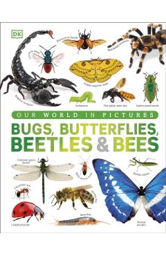 Our World in Pictures Bugs, Butterflies, Beetles and Bees -