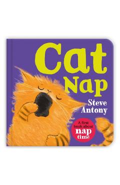 Cat Nap - Steve Antony