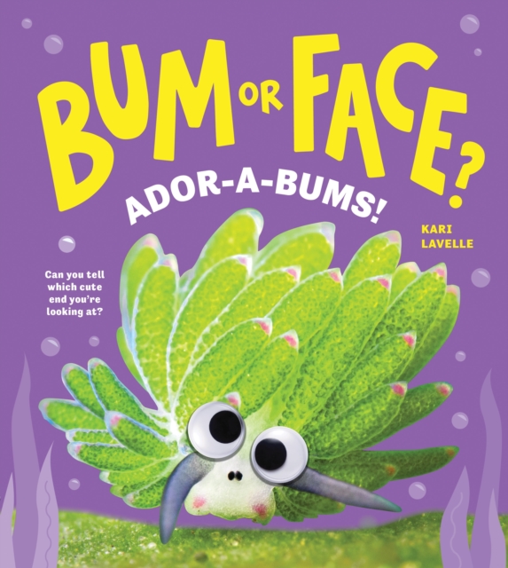 Coperta cărții 'Bum or Face? Adora-Bums! - Kari Lavelle'
