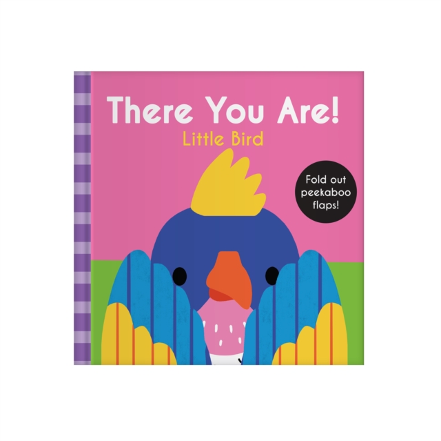 Coperta cărții 'There You Are: Little Bird -'