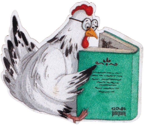 Magnet. Gaina culta. Kotkodak