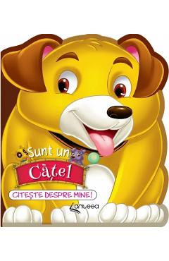 Poza produsului Sunt un catel. Citeste despre mine! - Lucia Cocisiu