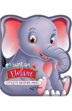 Coperta cărții 'Sunt un elefant. Citește despre mine! - Lucia Cocișiu'
