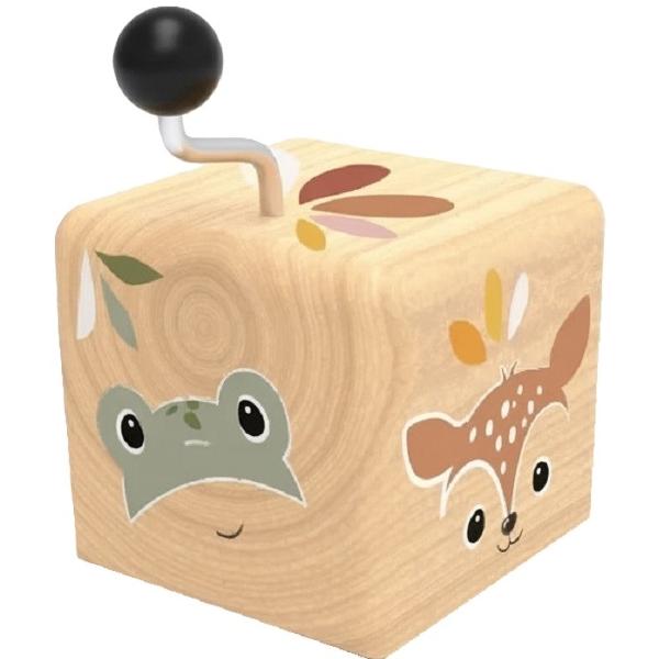 Cutie muzicala: Forest