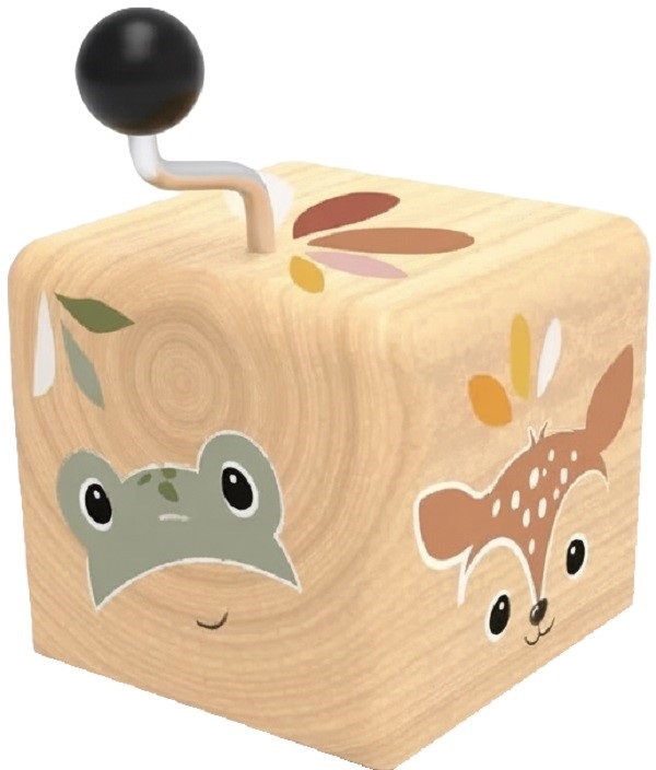 Cutie muzicala: Forest