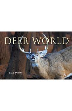 Coperta cărții 'Deer World - Dave Taylor'