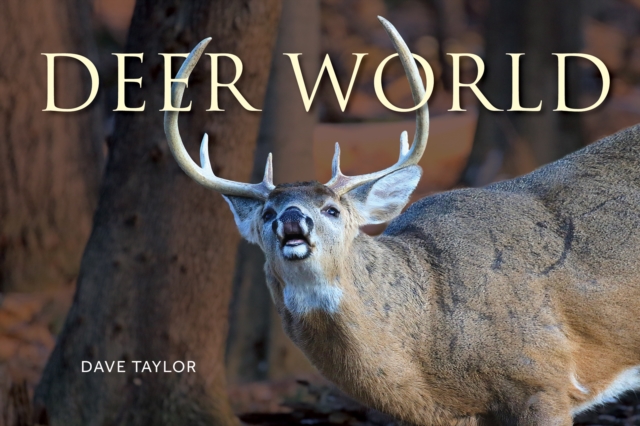 Coperta cărții 'Deer World - Dave Taylor'