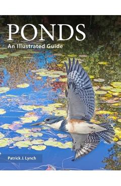 Coperta cărții 'Ponds: An Illustrated Guide - Patrick J. Lynch'