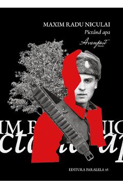 Poza produsului Pictand apa - Maxim Radu Niculai