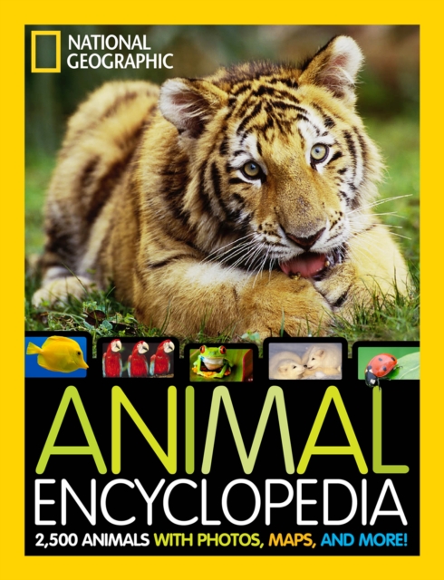Coperta cărții 'Animal Encyclopedia - Lucy Spelman'