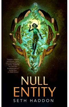 Coperta cărții 'Null Entity - Seth Haddon'