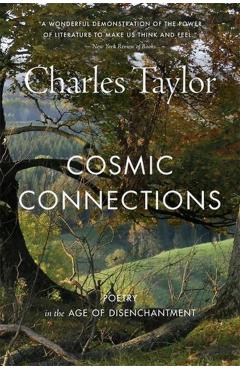 Cosmic Connections: Poetry in the Age of Disenchantment - Charles Taylor