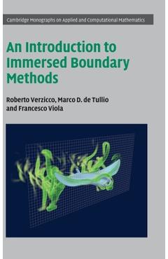 Coperta cărții 'An Introduction to Immersed Boundary Methods - Roberto Verzicco'