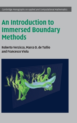 An Introduction to Immersed Boundary Methods - Roberto Verzicco