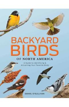 Coperta cărții 'Backyard Birds of North America: A Guide to Identifying and Attracting Your Favorite Birds - Daniel O'sullivan'