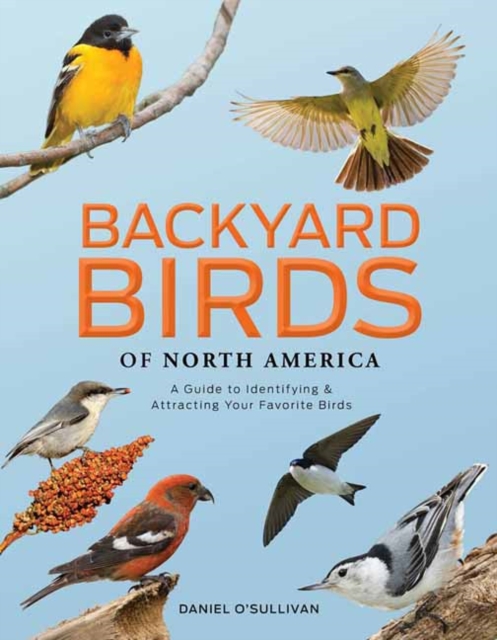 Coperta cărții 'Backyard Birds of North America: A Guide to Identifying and Attracting Your Favorite Birds - Daniel O'sullivan'