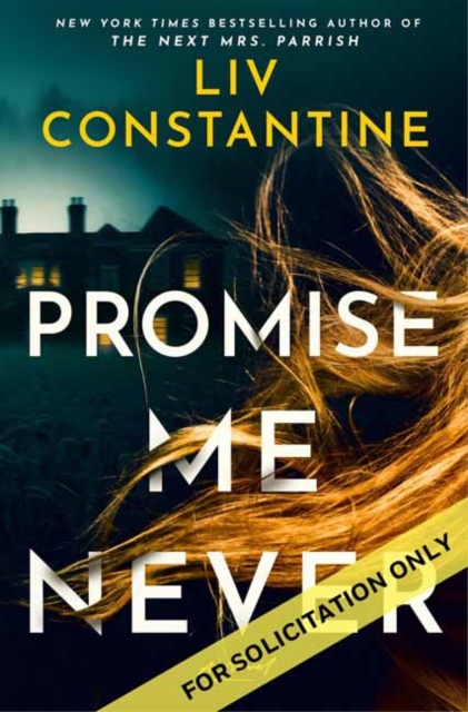 Coperta cărții 'Promise Me Never - Liv Constantine'