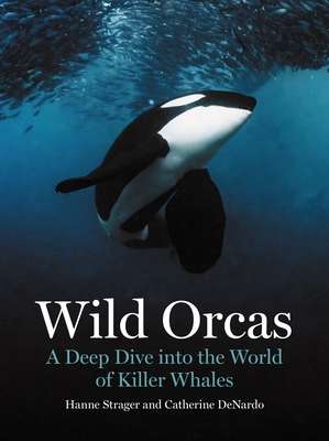 Coperta cărții 'Wild Orcas: A Deep Dive Into the World of Killer Whales - Hanne Strager'