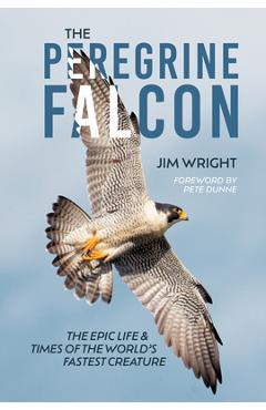 Coperta cărții 'The Peregrine Falcon: The Epic Life and Times of the World's Fastest Creature - Jim Wright'