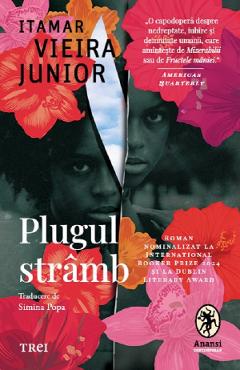 Plugul stramb - Itamar Vieira Junior