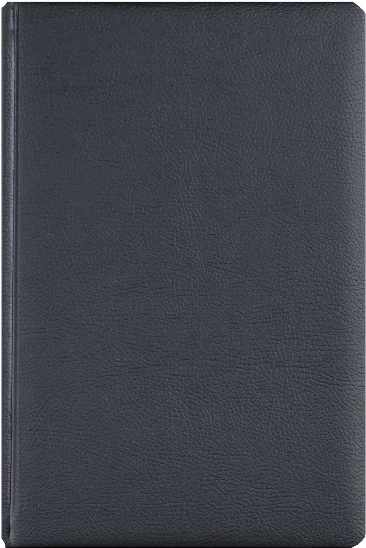 Agenda zilnica 2026 A5: Negru. Office Ego