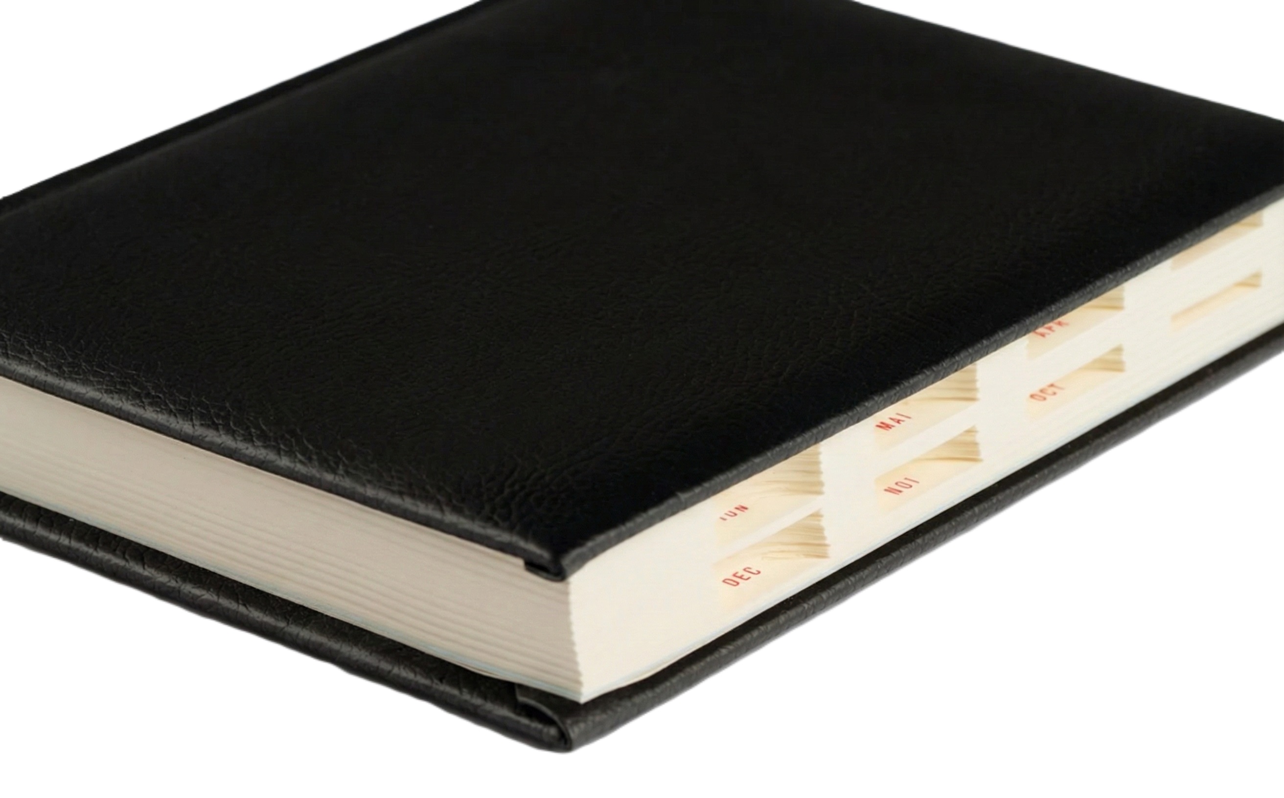 Agenda zilnica 2026 A5: Negru. Office Ego