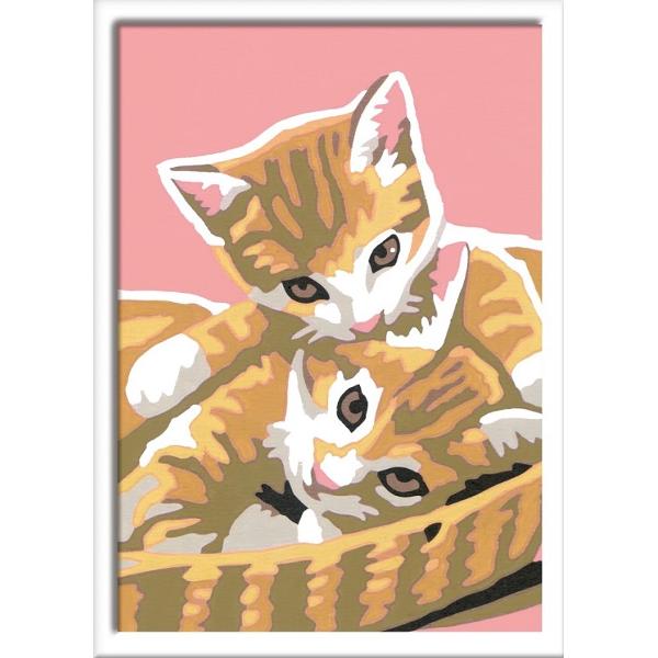 Pictura pe numere: Pisicute dragalase