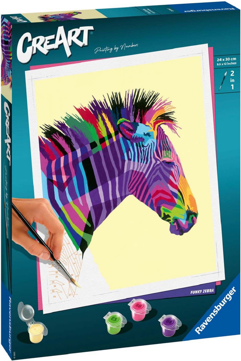 Pictura pe numere. Zebra
