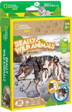 Poza produsului Puzzle 3D. Lup Cenusiu