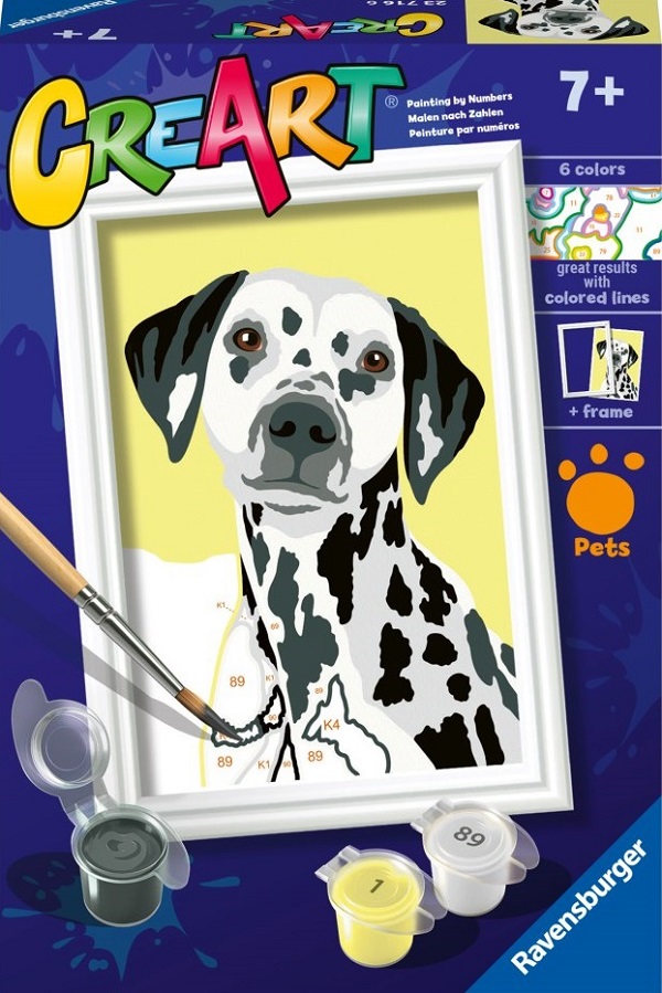 Pictura pe numere: Caine dalmatian