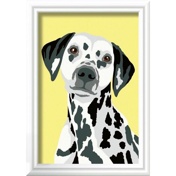 Pictura pe numere: Caine dalmatian
