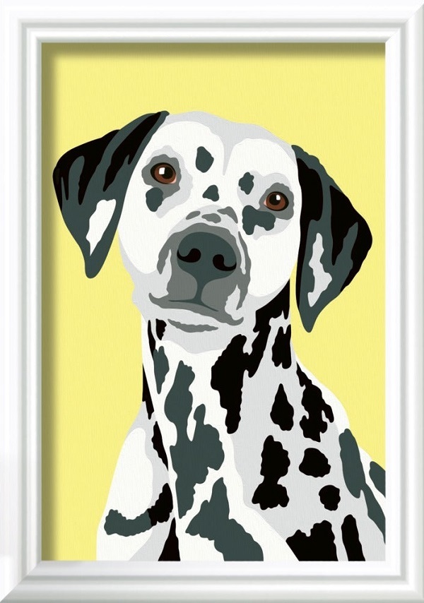 Pictura pe numere: Caine dalmatian