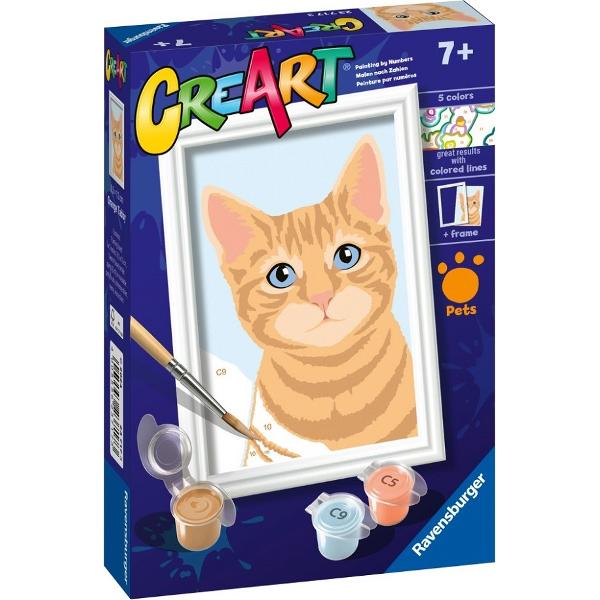 Pictura pe numere: Pisicuta portocalie