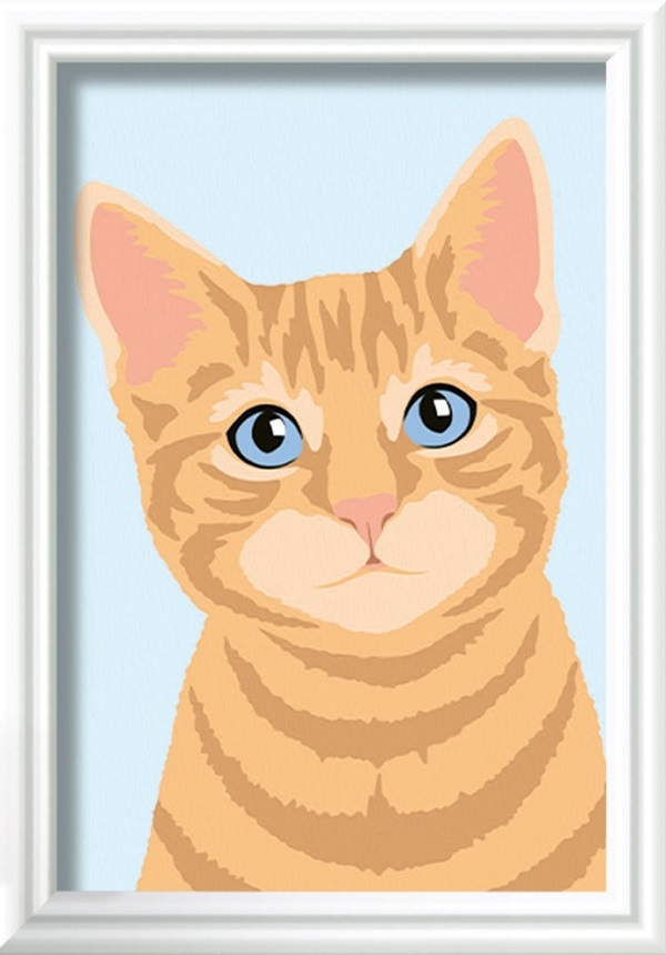 Pictura pe numere: Pisicuta portocalie