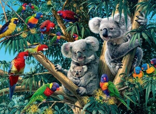 Puzzle 500 piese. Koala in copac