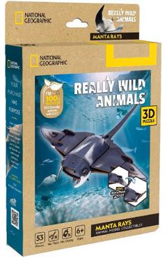 Poza produsului  Puzzle 3D. Pisica de mare