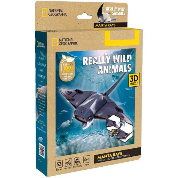  Puzzle 3D. Pisica de mare