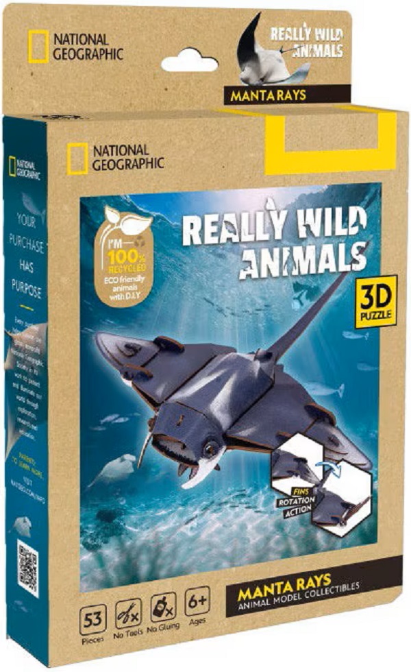  Puzzle 3D. Pisica de mare