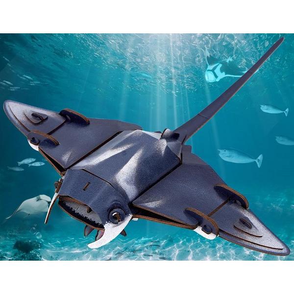  Puzzle 3D. Pisica de mare