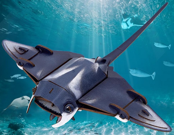  Puzzle 3D. Pisica de mare