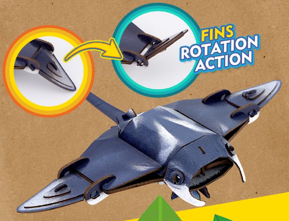  Puzzle 3D. Pisica de mare