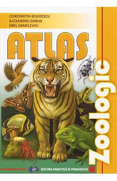 Coperta cărții 'Atlas zoologic Ed.2025 - Constantin Bogoescu, Alexandru Dabija, Emil Sanielevici'