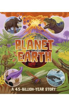 Planet Earth: A 4.5 Billion Year Story